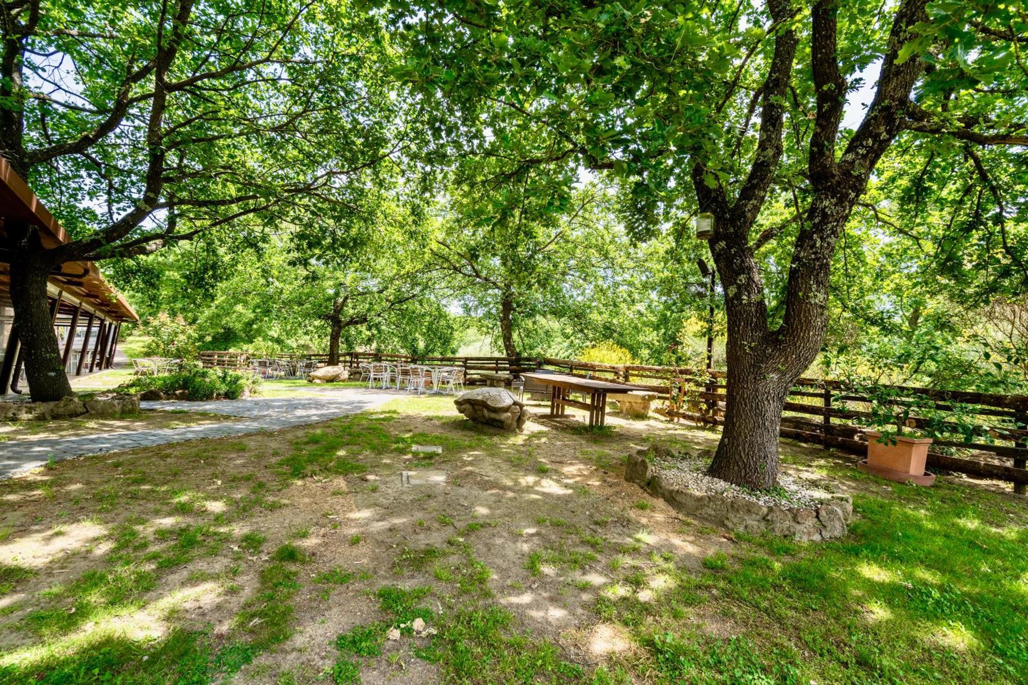 Isa - Residence With Swimming Pool In Sorano, Apartments With Air Conditioning And Private Outdoor Area Dış mekan fotoğraf